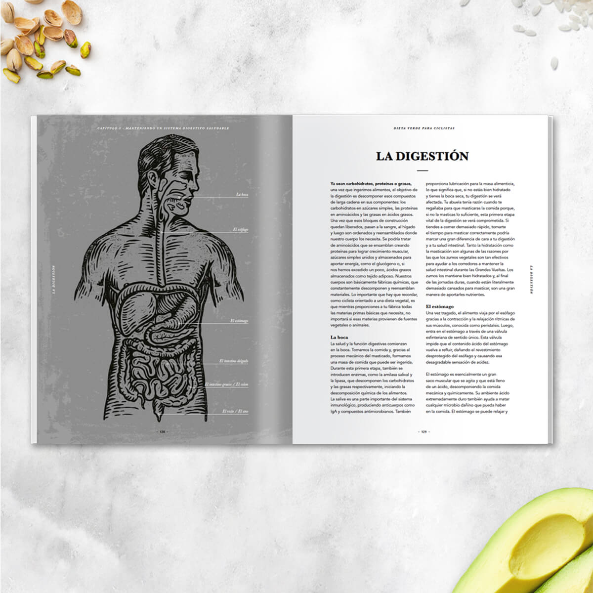 GCN's The Plant-Based Cyclist (Spanish) 6 GCN's The Plant-Based Cyclist (Spanish)